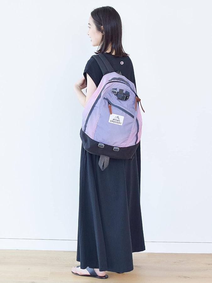 ビームスボーイ 別注 グレゴリー NICE DAY 22L 美品 BEAMS BOY（ビームス ボーイ）【別注】GREGORY / NICE DAY NEW